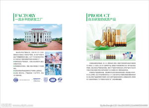 專業(yè)代理代辦 工廠及產(chǎn)品圖片服務(wù)